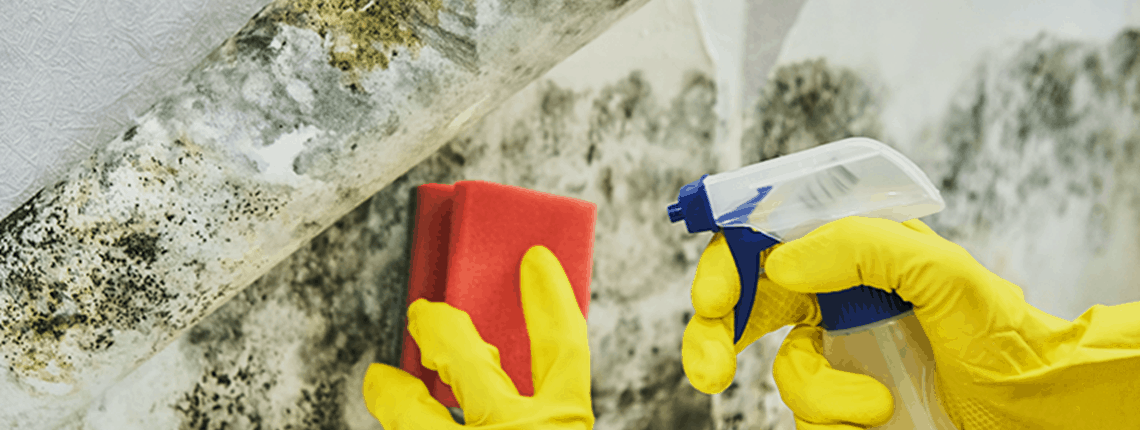 Mould removal