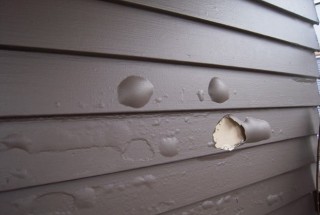 Paint blister timber weatherboards